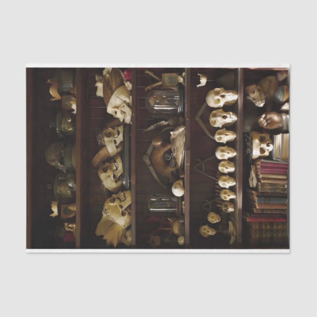 Papier Mousseline Cabinet de curiosités (Recto)