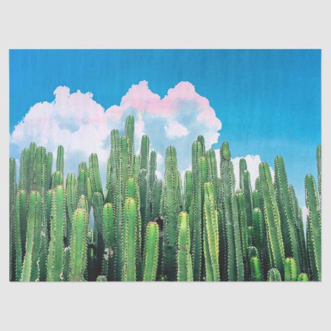 Papier Mousseline Cactus été (Recto)