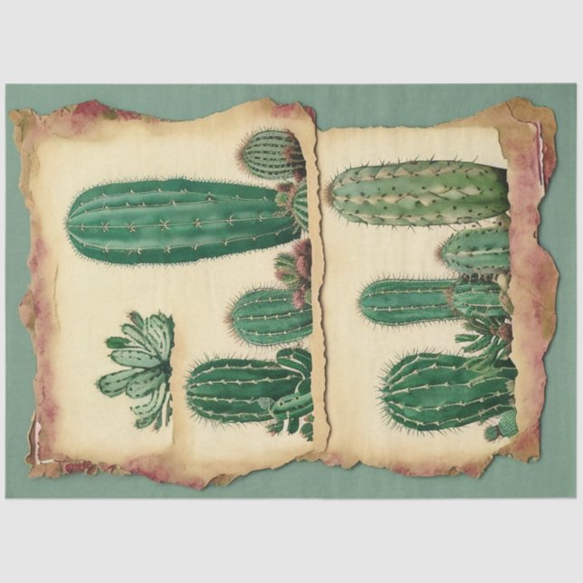 Papier Mousseline Cactus Plante Ephemera Collage Art No2 (Recto)
