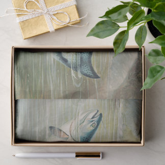 Papier Mousseline California Salmon by S.A. Kilbourne, Vintage Fish