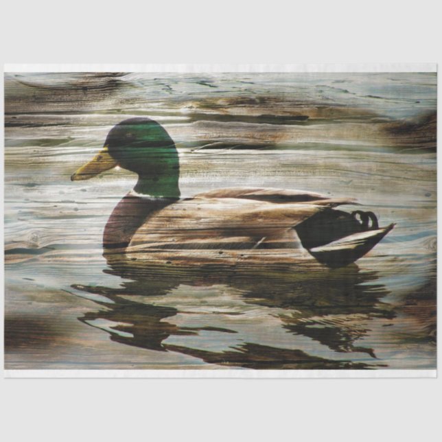 Papier Mousseline Canard (Recto)