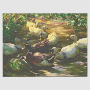 Papier Mousseline Canards Brown et blancs vintages dans un dénouemen