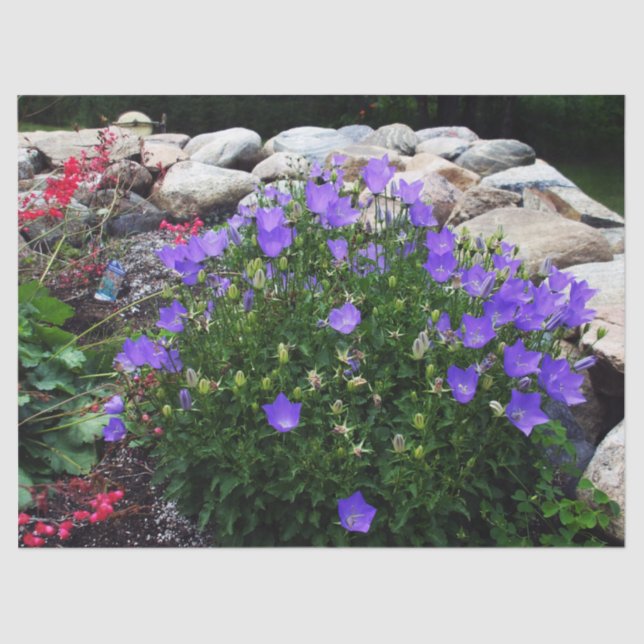 Papier Mousseline Canterbury Bells (Recto)