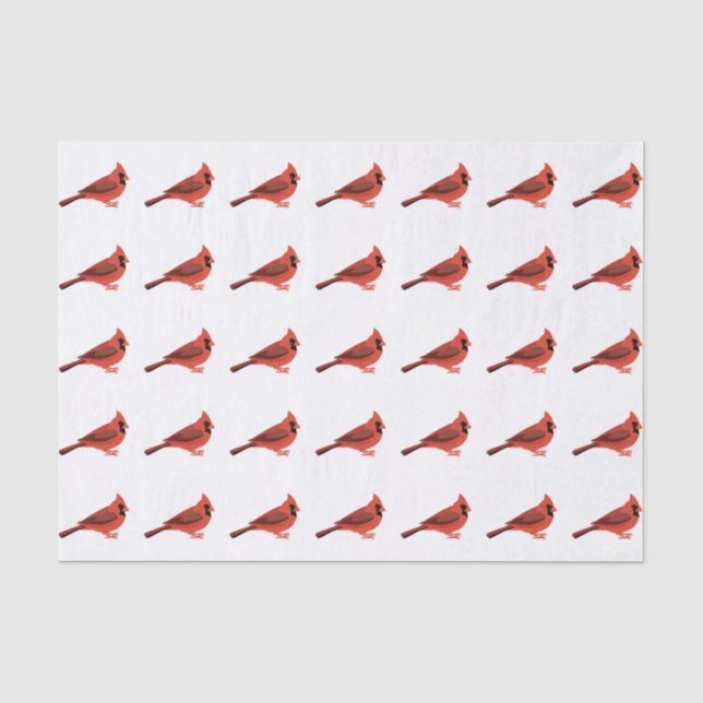 Papier Mousseline Cardinal Cardinal (Recto)