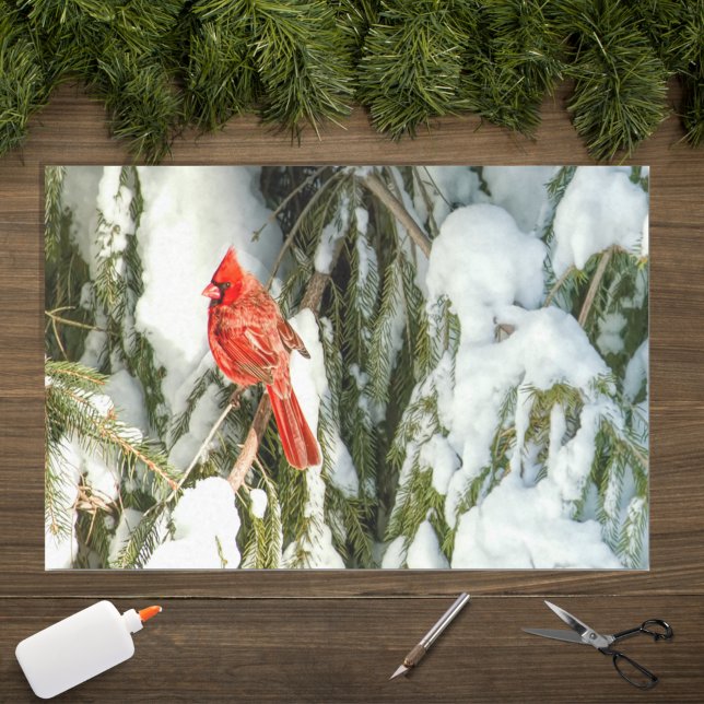 Papier Mousseline Cardinal En Hiver Pine Tree Tissu Papier (Créateur téléchargé)