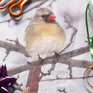 Papier Mousseline Cardinal femelle en hiver