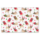 Carlins de Noël blanc