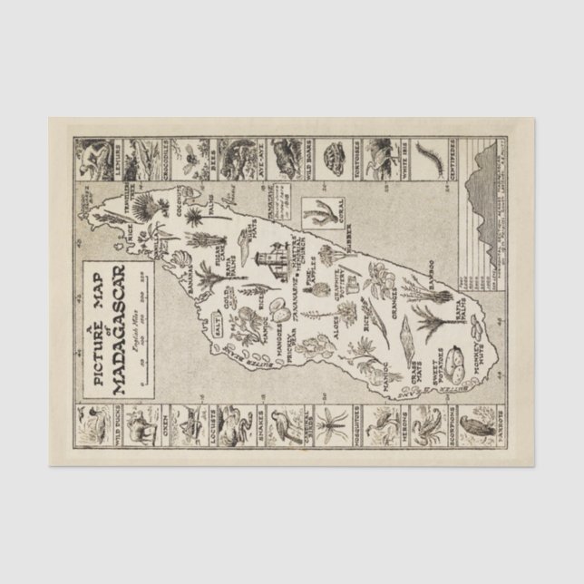 Papier Mousseline Carte Antique Madagascar Île Kraft (Recto)