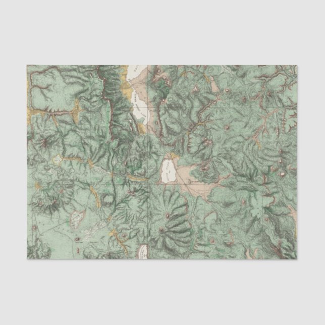 Papier Mousseline Carte de classification de terre du Nevada (Recto)