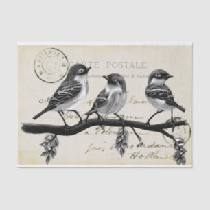 Papier Mousseline Carte des oiseaux postaux sur une succursale (Cart