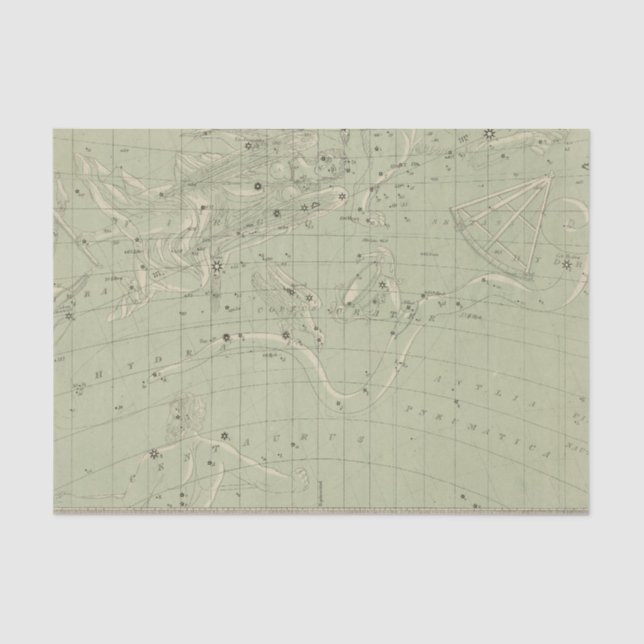 Papier Mousseline Carte d'étoile (Recto)