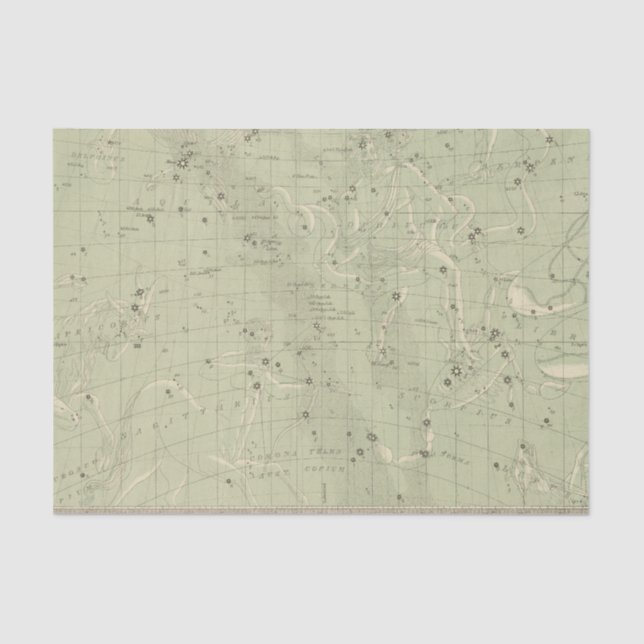 Papier Mousseline Carte d'étoile 2 (Recto)