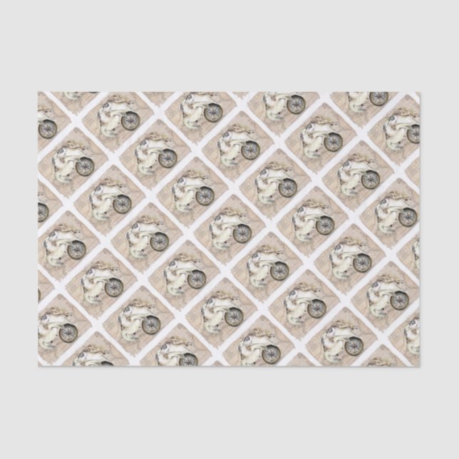 Papier Mousseline Carte du boussole des tortues marines (Recto)