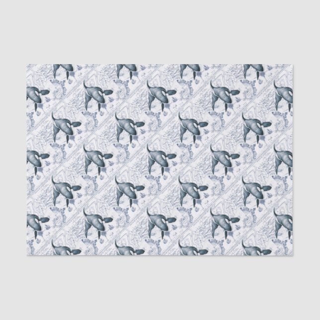 Papier Mousseline Carte Orca bleu (Recto)