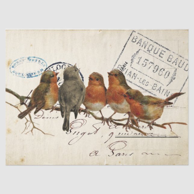 Papier Mousseline Carte Postale Bird Set 3 de 4 Robins européens Tex (Recto)