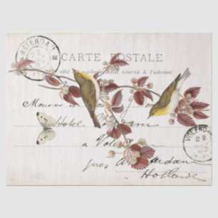 Papier Mousseline Carte Postale Française Vintage Feuille Papillon d