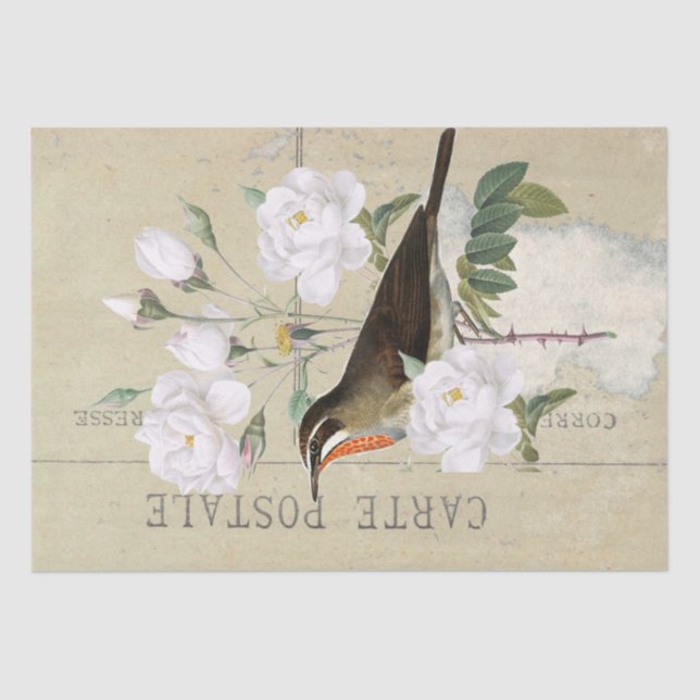 Papier Mousseline Carte Postale French Bird White Rose Decoupage (Recto)