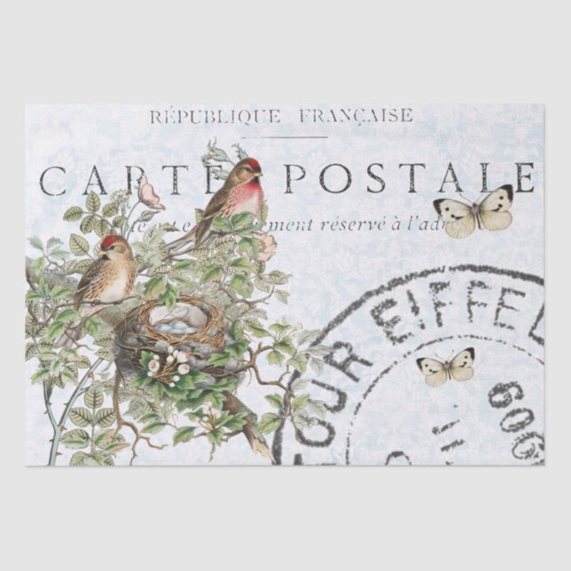 Papier Mousseline Carte postale Papillon de nid d'oiseau Postale ble (Recto)