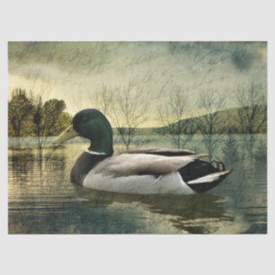 Papier Mousseline Carte postale Patinée Vintage Mallard Duck