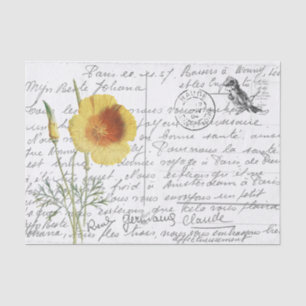 Papier Mousseline Carte postale Vintage de Pavot Jaune