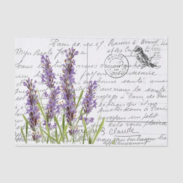 Papier Mousseline Carte postale Vintage Lavender Bird en français Sc (Recto)