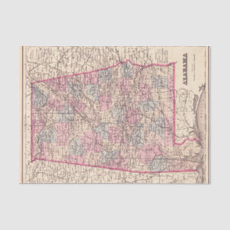 Papier Mousseline Carte vintage des comtés de l'Alabama (1876)