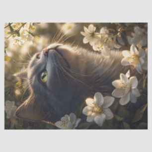 Papier Mousseline Cat bleu russe Fleurs blanches Découpage