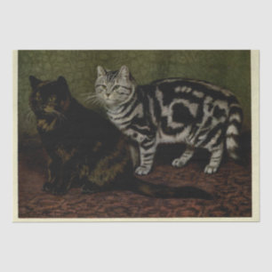 Papier Mousseline Cat Ephemera Decoupage Tortoiseshell Tabby Argent