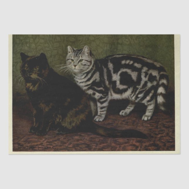 Papier Mousseline Cat Ephemera Decoupage Tortoiseshell Tabby Argent (Recto)