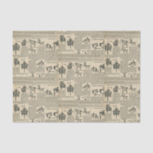 Papier Mousseline Catalogue ancien