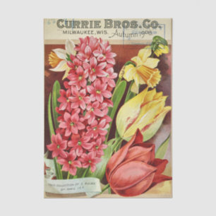 Papier Mousseline Catalogue de graines anciennes Currie Bros, 1906,