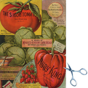 Papier Mousseline Catalogue de graines anciennes Maule's Ruby King