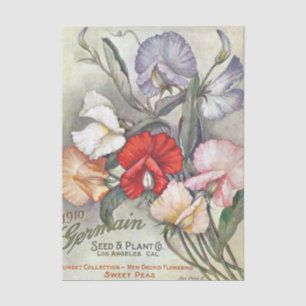 Papier Mousseline Catalogue de graines vintage Germain, 1910, pois d