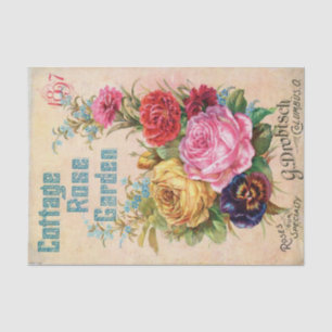 Papier Mousseline Catalogue vintage de semences 1897 Cottage Rose Ga