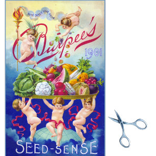 Papier Mousseline Catalogue vintage de semences Burpee Seed Sense & 