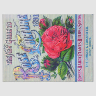 Papier Mousseline Catalogue vintage de semences Dingee Conard Cultur