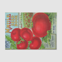 Catalogue vintage de semences Maule's 1915, Tomate