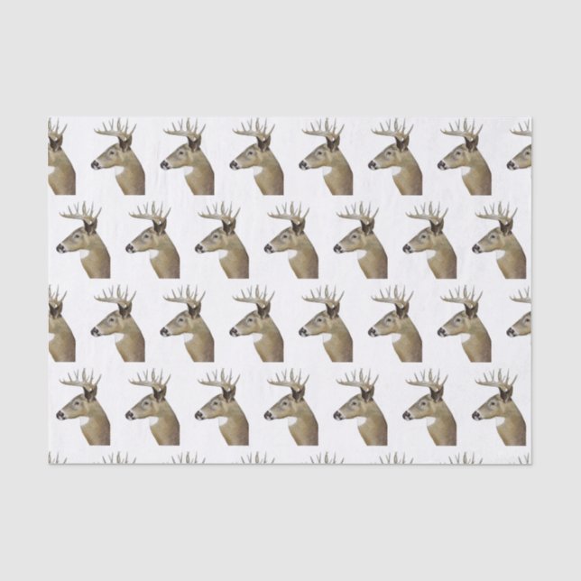 Papier Mousseline Cerf à queue blanche (Recto)