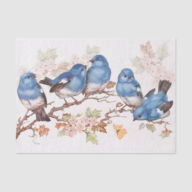 Papier Mousseline Ces bébés bleues (Recto)