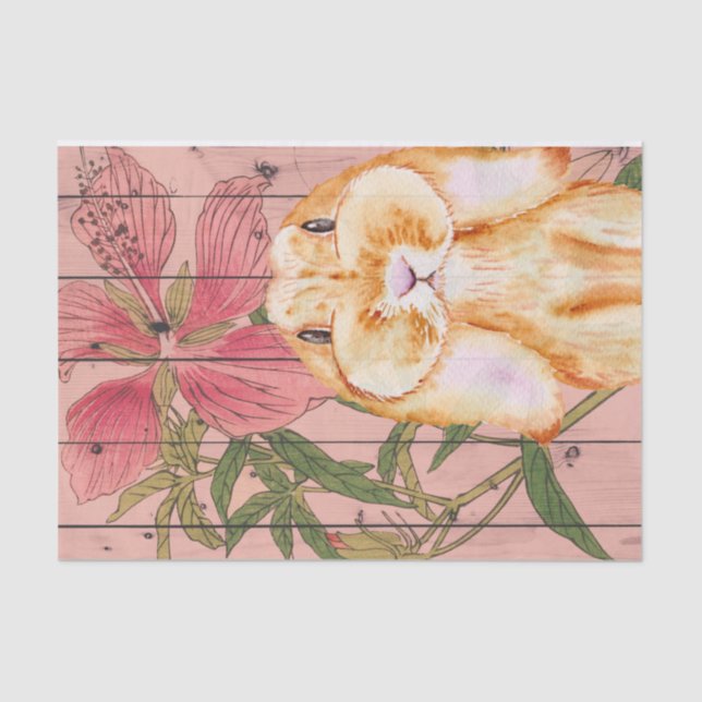 Papier Mousseline Ces Joues ! ! Super Mignonne Lapin ! Papier Mousse (Recto)