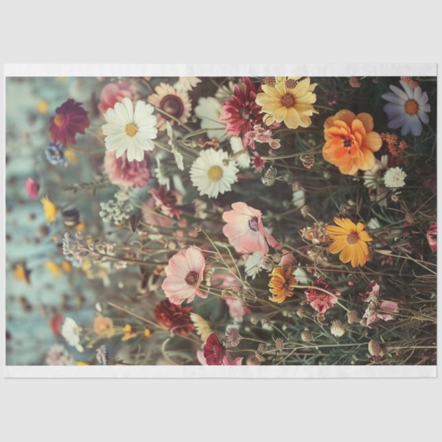 Papier Mousseline Champ de belles fleurs avec marguerites dédécoupag (Recto)