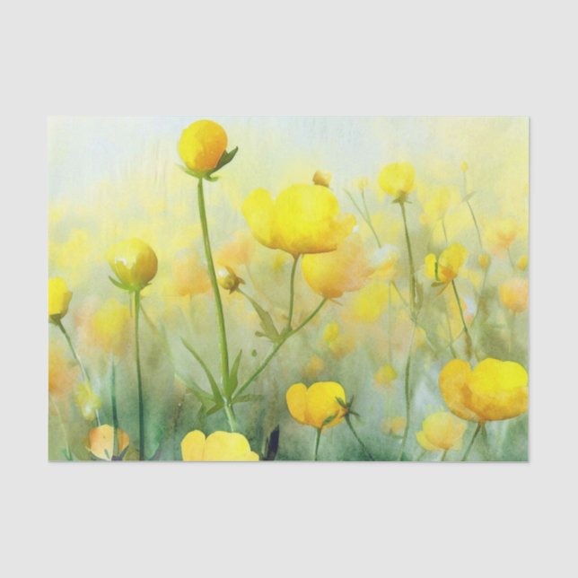 Papier Mousseline Champ de Fleurs-Bouttercups (A) Aquarelle (Recto)