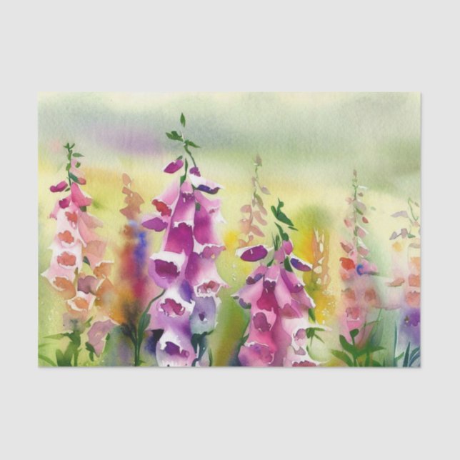Papier Mousseline Champ de fleurs-Foxglove (D) Aquarelle (Recto)