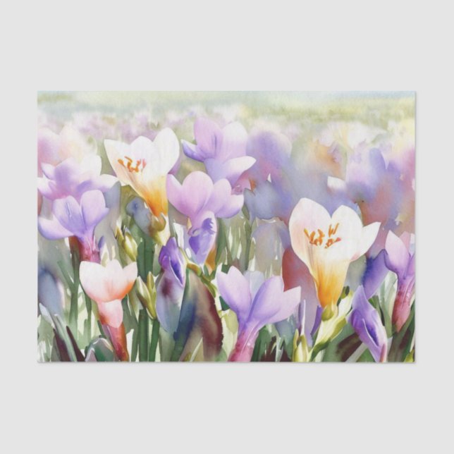 Papier Mousseline Champ de fleurs-Freesia (A) Aquarelle (Recto)