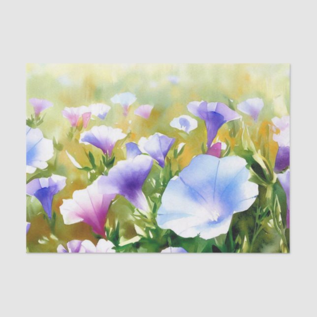 Papier Mousseline Champ de fleurs - Gloire du matin (A) Aquarelle (Recto)