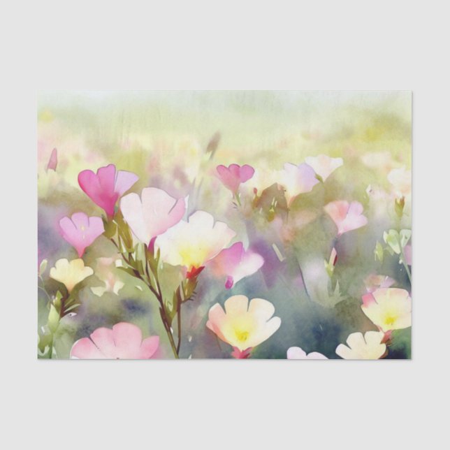 Papier Mousseline Champ de fleurs - Primrose du soir (C) Aquarelle (Recto)