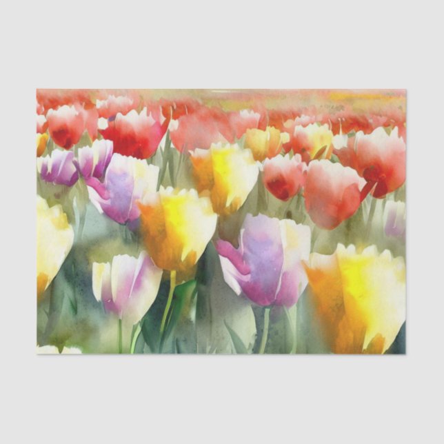 Papier Mousseline Champ de fleurs-Tulipe (B) Aquarelle (Recto)