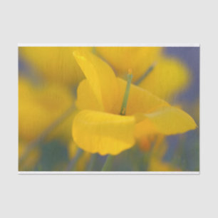 Papier Mousseline Champ de pavots en fleurs