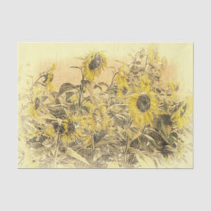 Papier Mousseline Champ de tournesols jaunes à effet vignette en dét