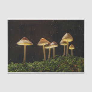 Papier Mousseline Champignons brillants nocturnes étoilés